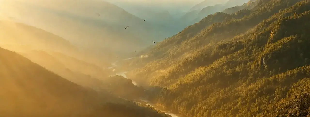 纪录片 - 免费影视